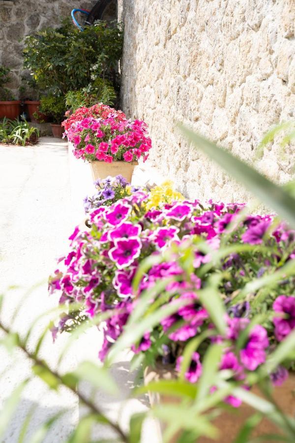 La Bella Vita - Luxury Holiday House Close To Corfu Town Potamós Exteriér fotografie